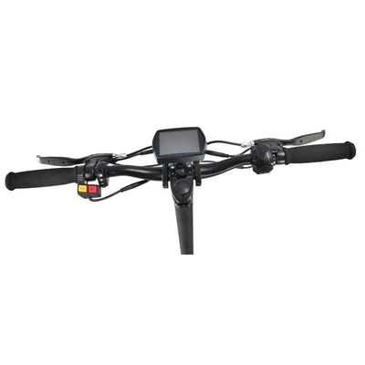 Scooter elettrico pieghevole da 800w con tempo di ricarica da 6-8 ore in colore nero personalizzato