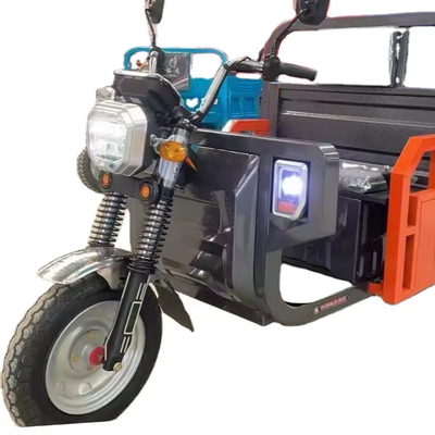 Spaziosa tricicletta elettrica da 1000 W per un trasporto comodo e conveniente dei passeggeri
