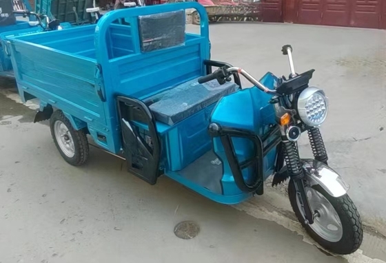 Spaziosa tricicletta elettrica da 1000 W per un trasporto comodo e conveniente dei passeggeri