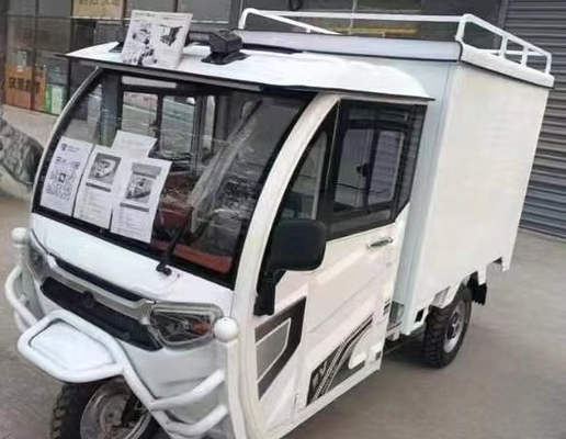 Spaziosa tricicletta elettrica da 1000 W per un trasporto comodo e conveniente dei passeggeri