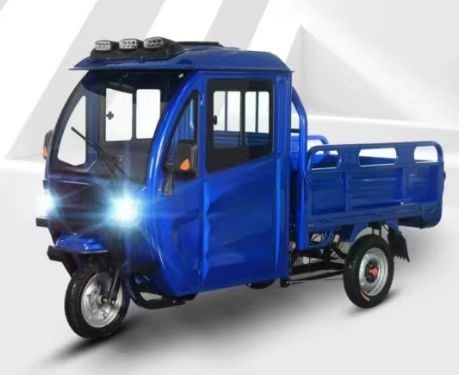 Spaziosa tricicletta elettrica da 1000 W per un trasporto comodo e conveniente dei passeggeri