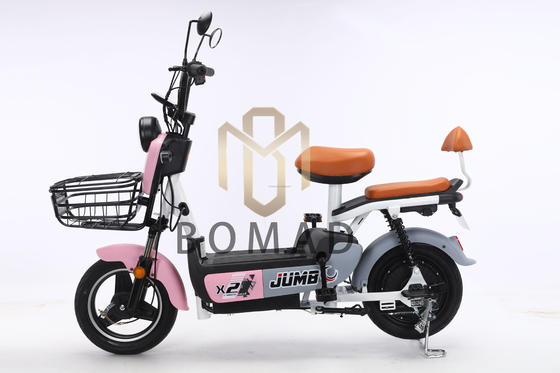 Bicicletta elettrica City Bike Scooter elettrico bicicletta con 48V di tensione e batteria al piombo-acido alimentazione