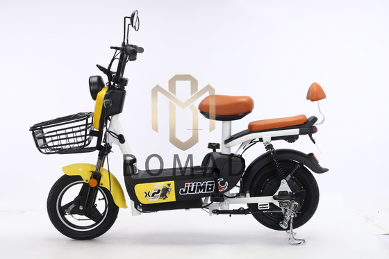 Bicicletta elettrica City Bike Scooter elettrico bicicletta con 48V di tensione e batteria al piombo-acido alimentazione