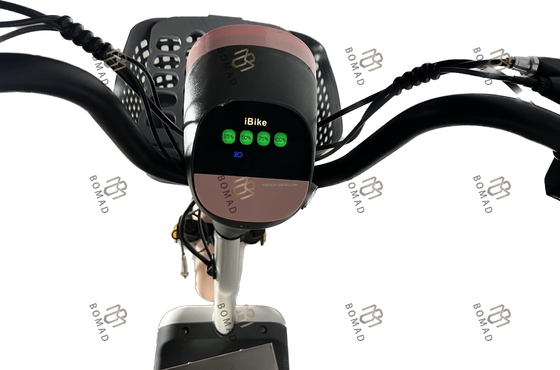 Esempio di bicicletta elettrica da città bicicletta scooter elettrico bicicletta con il più basso e materiale di telaio in acciaio
