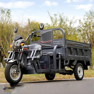 801-1000W Tricycle Electric 3 Wheel Electric Scooter per adulti controllato da un regolatore di tipo tubo