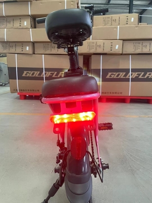 Biciclette elettriche a prezzi accessibili per adulti Tempo di ricarica 3 ore Larghezza del pneumatico 20*2,8 Comodo