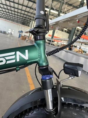 Biciclette da guida per adulti Biciclette elettriche per uso ricreativo, fuoristrada e stradale urbana con sensore intelligente Tempo di ricarica 3 ore