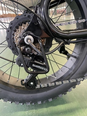 Biciclette sportive ricreative 2024 48V Biciclette elettriche off-road da montagna con e tempo di ricarica 3 ore