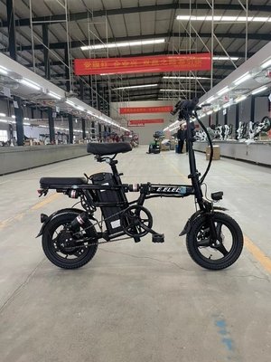 Automobile elettrica da viaggio da 3000 W con guida automatica e tensione a caldo di 48 V