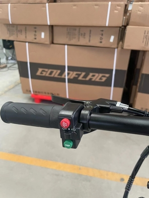 Bicicletta elettrica pieghevole a due ruote con pedale e portata di luce elettrica per potenza 60 km Tempo di ricarica 3 ore