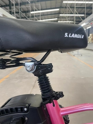 Bicicletta elettrica pieghevole a due ruote con pedale e portata di luce elettrica per potenza 60 km Tempo di ricarica 3 ore