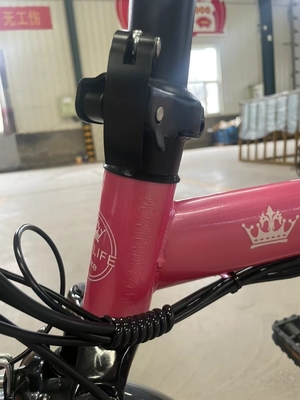 Bicicletta elettrica pieghevole a due ruote con pedale e portata di luce elettrica per potenza 60 km Tempo di ricarica 3 ore