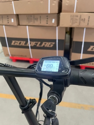 Bicicletta elettrica pieghevole a due ruote con pedale e portata di luce elettrica per potenza 60 km Tempo di ricarica 3 ore
