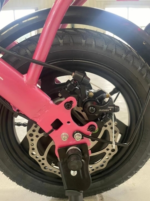 Bicicletta elettrica pieghevole a due ruote con pedale e portata di luce elettrica per potenza 60 km Tempo di ricarica 3 ore
