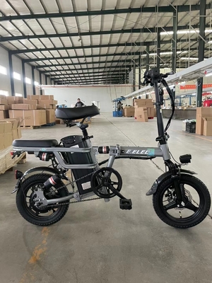 2024 Folding EMU 1000w EMU Pedal City EMU a lunga distanza con materiale di telaio in acciaio e velocità massima 30-50Km/h