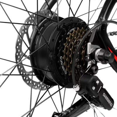 Veicolo a motore elettrico a catena a pedali da 800W per avventure in montagna velocità massima 30-50Km/h posizione della batteria batteria integrata