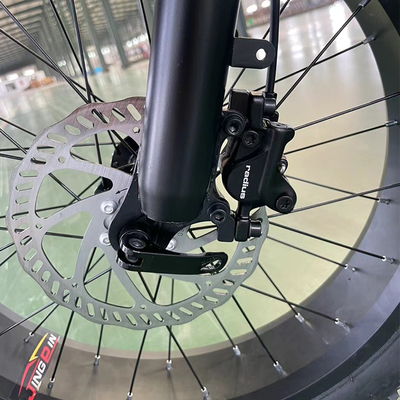 750w Motor Rear Hub Powertrain elettrico per batterie al litio Veicolo da terreno montano