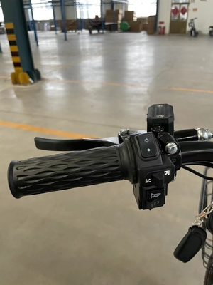 Cornice in acciaio 18 velocità guida elettrica automatica 48V bicicletta per adulti di svago motore elettrico a due ruote