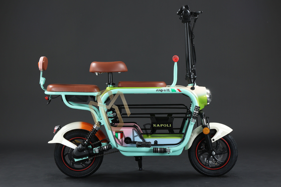 Bicicletta elettrica compatta con alimentatore a batteria al litio e tempo di ricarica veloce