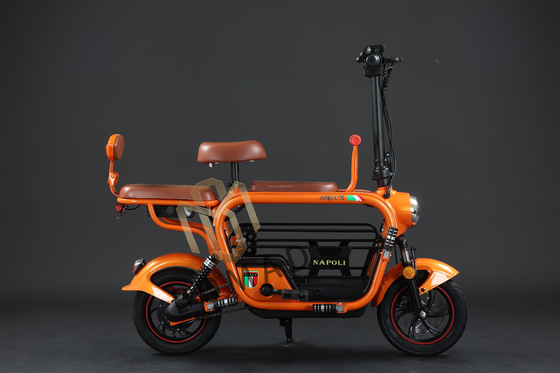 Bicicletta elettrica compatta con alimentatore a batteria al litio e tempo di ricarica veloce