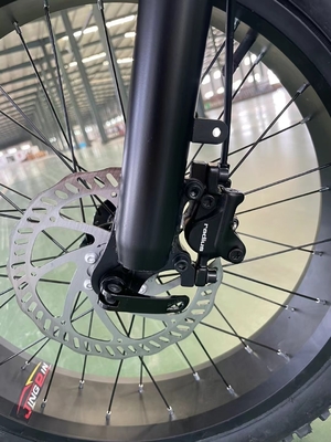 Bicicletta elettrica da montagna da 20 pollici con 18 marce e coppia da 50-60 Nm