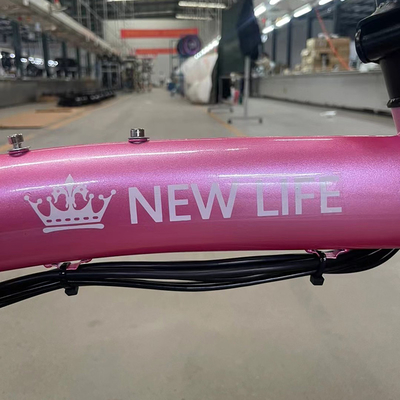 Batteria di stoccaggio da 36v Bicicletta elettrica pieghevole per adulti con motore a mozzo posteriore e design compatto