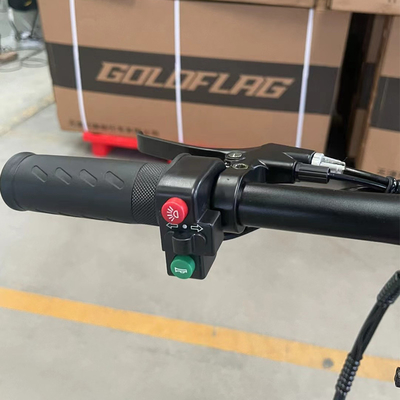 Batteria di stoccaggio da 36v Bicicletta elettrica pieghevole per adulti con motore a mozzo posteriore e design compatto