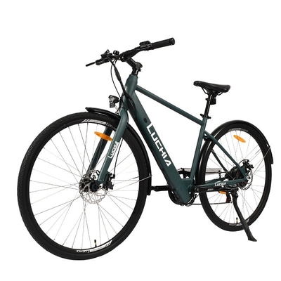 Potentissima City Bike elettrica con motore da 350w e batteria da 48v 15ah