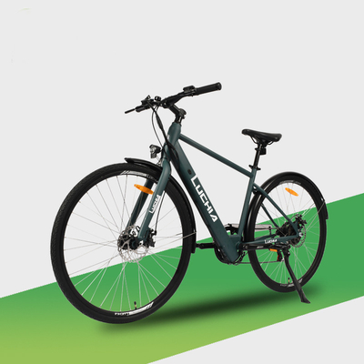 Potentissima City Bike elettrica con motore da 350w e batteria da 48v 15ah
