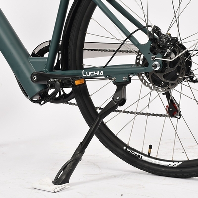Potentissima City Bike elettrica con motore da 350w e batteria da 48v 15ah