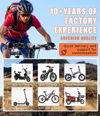 Bicicletta elettrica 48v/36v Bicicletta elettrica con motore 250W/350W/500W/750W/1000W
