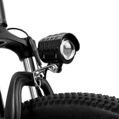 750w Motore rinforzato ferro alluminio legato 7 velocità ingranaggi City Bike elettrica per il multi-terreno guida su 26 pollici di gomma grassa