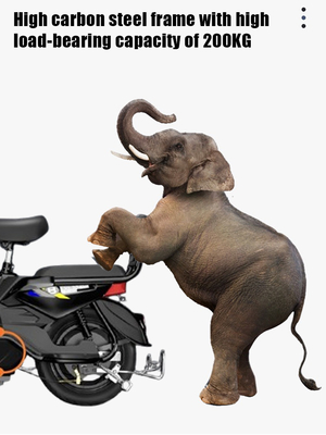 Adult Walking Battery Car 48v Bicicletta elettrica con motore centrale 350w e velocità massima 30-50Km/h