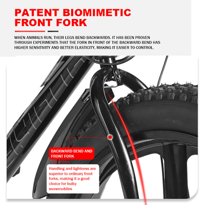2024 Mountain Bike Big Tire Bicicletta elettrica con batteria da 11 ah e freno a disco delle ruote posteriori