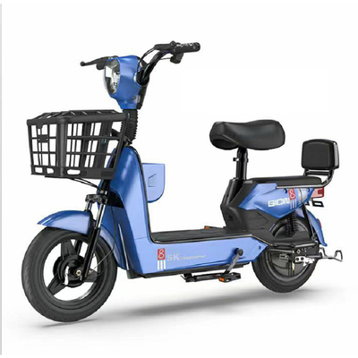 009 48V Green Electric City Bike 3 ore di ricarica