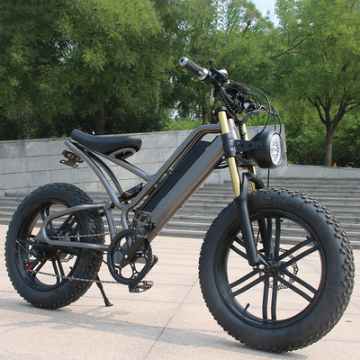 Potente 250w Bici elettrici Adulti Mountain Bike elettrica con freno a disco ruota posteriore