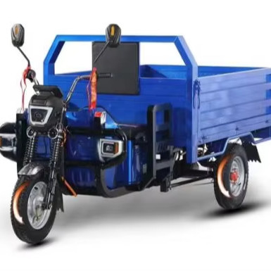 Motocicletta elettrica a carico a tre ruote a 60 V con chilometraggio di ≥ 90 km e progettazione durevole