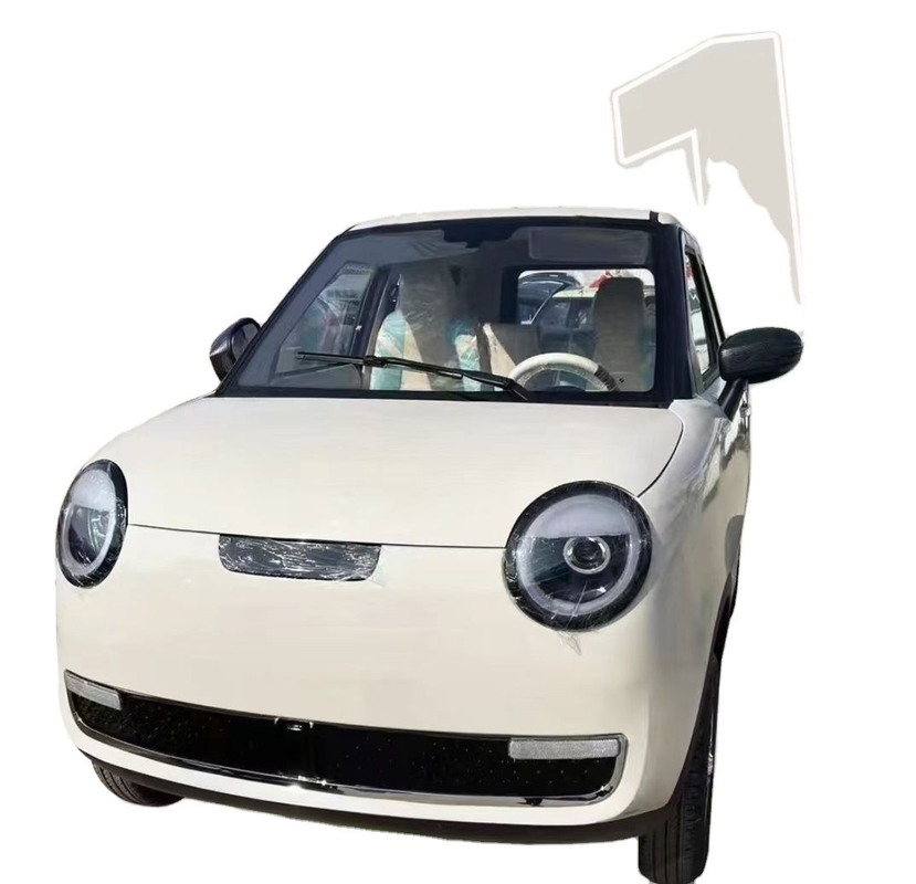Veicolo elettrico a quattro ruote da 3000w Il futuro del trasporto sostenibile con 300 km di resistenza