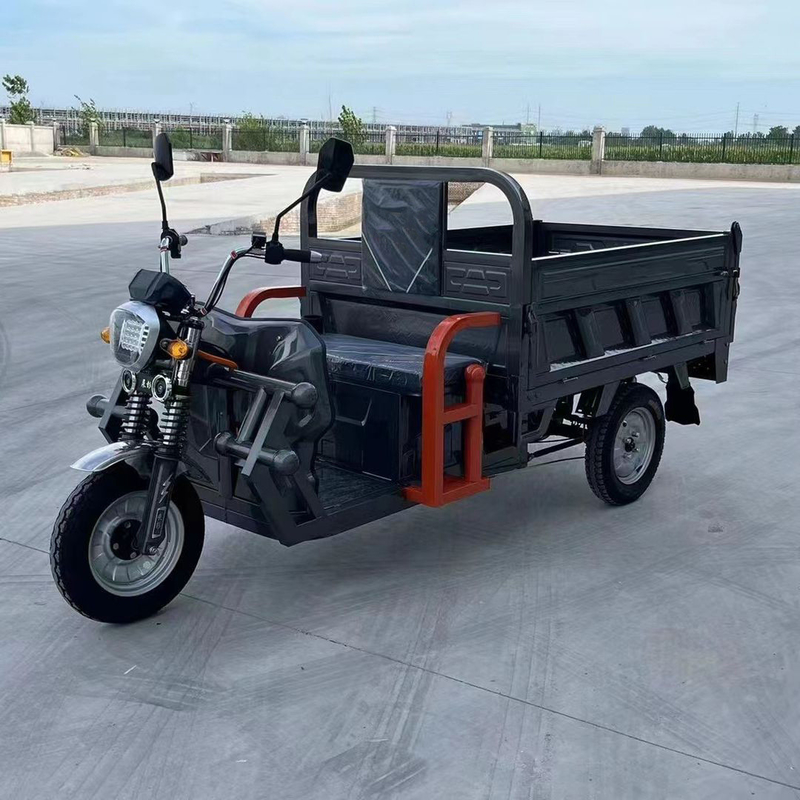 801-1000W Tricycle Electric 3 Wheel Electric Scooter per adulti controllato da un regolatore di tipo tubo