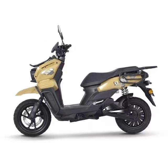 Auto di resistenza elettrica 1000W con 48V di tensione e Max. velocità di 40 60km/h a prezzi accessibili