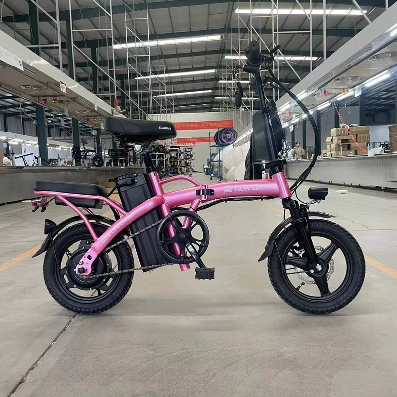 Bicicletta elettrica pieghevole a due ruote con pedale e portata di luce elettrica per potenza 60 km Tempo di ricarica 3 ore