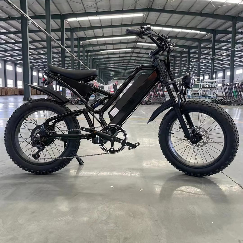 Bicicletta elettrica da montagna da 20 pollici con 18 marce e coppia da 50-60 Nm