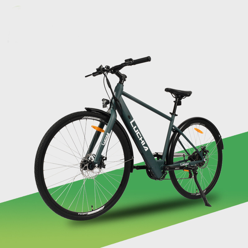 250w 36v 14 Inch 16 Inch Electric City Bike Bicicleta elettrica pieghevole con telaio in alluminio