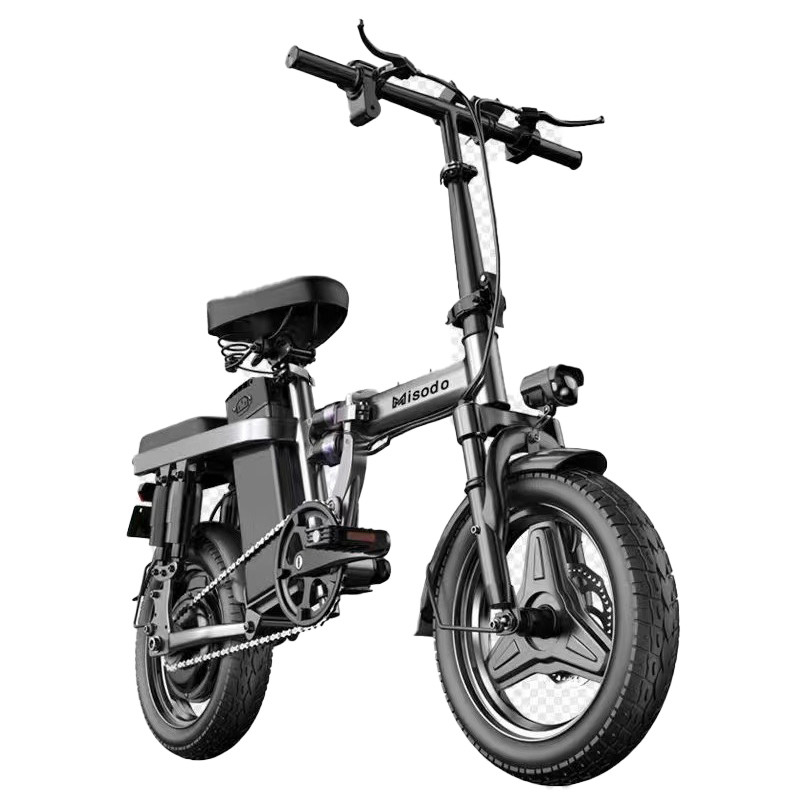 E-bike all'aperto 20 pollici bicicletta elettrica pieghevole 48v 250w 25km/h Bicicletta elettrica con motore hub posteriore