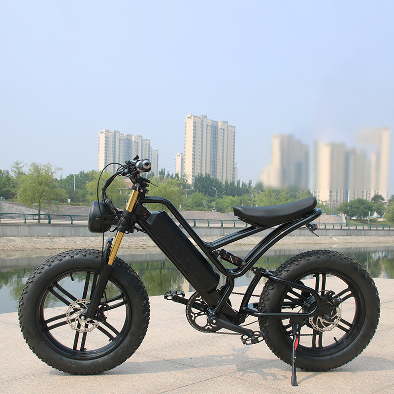 Batteria integrata Popular Smlro Xdc600 Plus Awd Electric Bike 1000w 2000w 48v 52v 26 &quot;Motorcycle Fat Tire Mountain Snow Bike