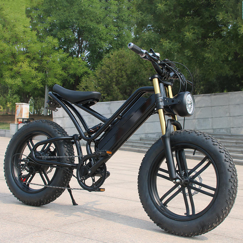 48v 750w 1000w Electrique Full Suspension Ebike E Bicycle Hybrid Electric Dirt Mountain Bike con velocità massima 30-50Km/h